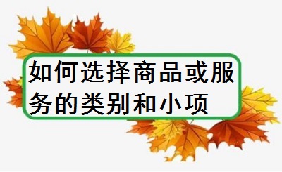 如何選擇商品或服務(wù)的類別和小項(xiàng)